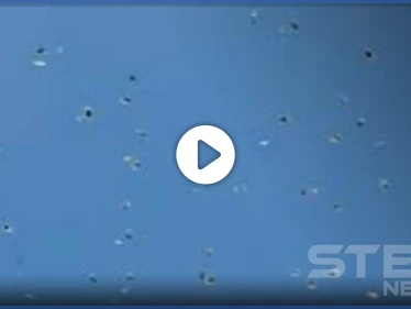 بالفيديو|| طائرة تلقي عشرات أكياس المخدرات وسط تل أبيب.. والسلطات تتحرك