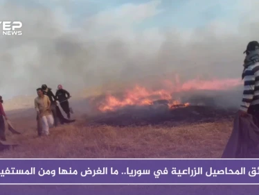 حرائق المحاصيل الزراعية في سوريا.. ما الغرض منها ومن المستفيد؟