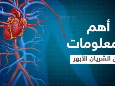 الشريان الأبهر أكبر شريان في الجسم أسباب ضعفه وطرق التخلص من الألم إليك أهم المعلومات