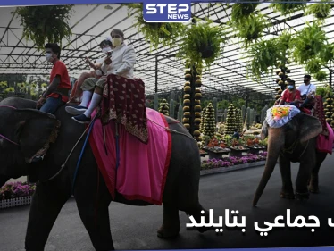 بالصور|| في يوم عيد الحب... زفاف جماعي على ظهور الأفيال في حديقة استوائية بتايلاند