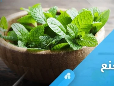أكثر النباتات العلاجية شعبية حول العالم.. النعنع وفوائد كثيرة لا تحصى