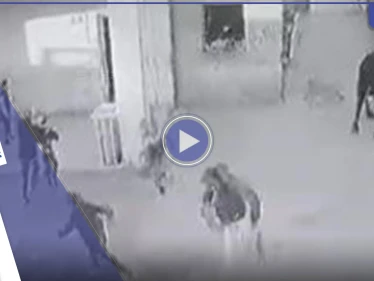 بالفيديو|| غضب في العراق بعد اقتحام ثور هائج لمدرسة ابتدائية في البصرة وتسببه بإصابات بين الطلاب