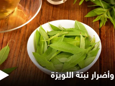 نبتة اللويزة لعلاج الربو وغيره من الأمراض وتحذيرات للمرأة الحامل