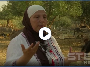 بالفيديو || يساعد في شفاء الأمراض.. أردنية تستخدم حليب الحمير في صناعة الصابون