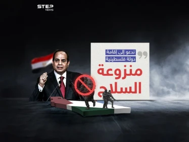 الرئيس المصري: السوريون والعراقيون بلادهم موجودة لن يأخذها أحد والأمر مختلف مع غزة