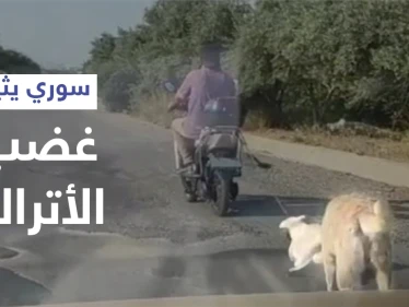 بالفيديو|| لاجئ سوري يربط كلب صغير بدراجته النارية ويجره خلفه وأمه تلاحقه