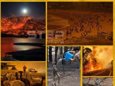حرائق غابات استراليا
