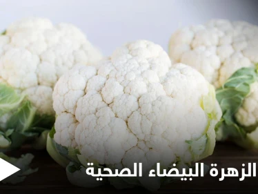 مقاومة للسرطان وتحسن عمل الجهاز العصبي.. تعرف على فوائد الزهرة البيضاء الصحية