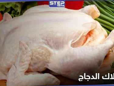 إحذر تناول 4 أجزاء في الدجاج لأنها قد تشكل خطراً على الصحة