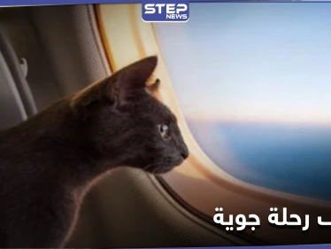 قطة "متطفلة" تجبر طاقم طائرة عربية على استقطاع رحلتهم والهبوط في العاصمة السودانية