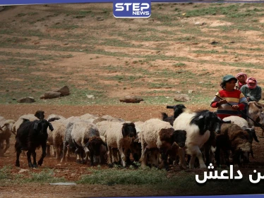 بتهمة مرتبطة بداعش.. قوات النظام السوري تعتقل رعاة أغنام وتحتجز عرباتهم بريف الرقة