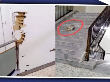 "مشفى حماة نموذج للانسجام بين المرضى والحيوانات".. ماذا عن سوء المعاملة والرشاوي!