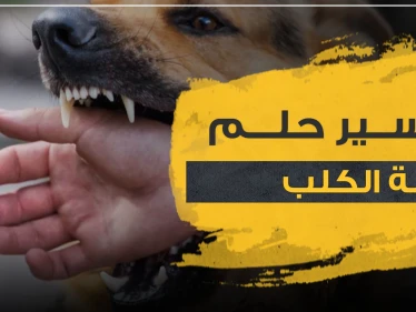 تفسير حلم عضة الكلب في المنام و4 دلالات في رؤيته للعامة في المنام