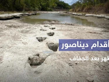 شاهد || آثار أقدام ديناصور عمرها 113 مليون عام تظهر بعد جفاف نهر في تكساس