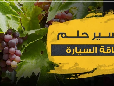 تفسير حلم رؤية أكل العنب..4 تفاسير مختلفة مع تفصيل أنواع العنب للرجال والنساء