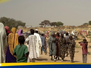 مبعوث ترامب يكشف تطورات الهدنة في السودان - وكالة ستيب نيوز