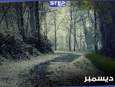 لماذا تصدر "ديسمبر December" مواقع البحث ووصف بشهر النهايات السعيدة