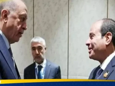 من مصر.. أردوغان يوجّه رسالة ويكشف ما ناقشه مع السيسي