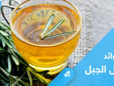 لتعزيز صحة الجهاز الهضمي وفوائد أخرى.. تعرف على خصائص إكليل الجبل الفريدة