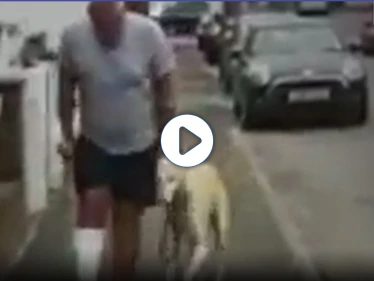 بالفيديو|| بريطاني يدفع 300 جنيه بحثاً عن مرض كلبه ليتفاجأ بأنه مجرد "وفاء وتعاطف"