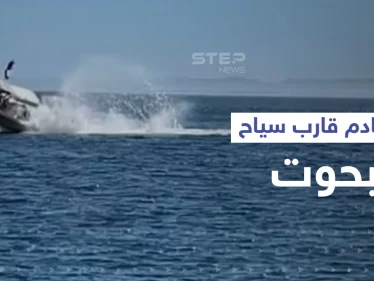 بالفيديو|| تصادم قارب سياح بحوت ضخم ووقوع عدد من الإصابات