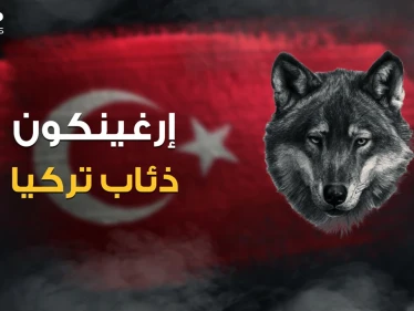 رضعوا حليب الذئاب .. ماذا تعرف عن منظمة إرغينكون وقصة الذئبة التي أنجبت الأتراك!