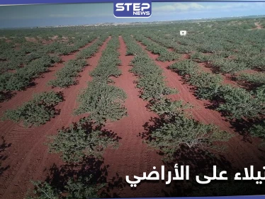 مزاد علني يستهدف أراضي المهجرين و"الأموات" بريف حماة الجنوبي