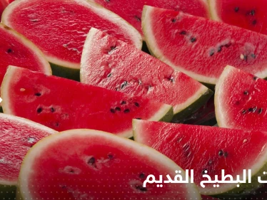 جد البطيخ القديم "مر وقاتل"..دراسة تصدم الباحثين