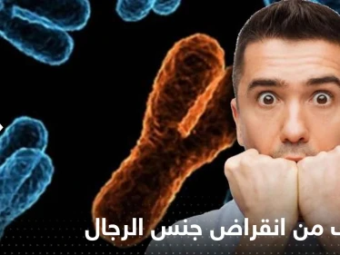 دراسة تنذر بانقراض جنس الرجال.. الأمر بدأ من الفئران!