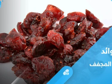 قيمة غذائية عالية.. تعرف على فوائد التوت البري المجفف