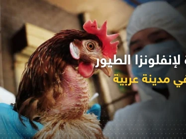 بؤرة لإنفلونزا الطيور تظهر في مدينة عربية.. أوامر بالحجر ومنع البيع