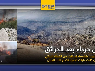 جبال خالية من النباتات عقب الحرائق التي التهمتها جراء ارتفاع درجات الحرارة