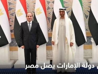شاهد|| رئيس دولة الإمارات يصل مصر.. والسيسي في استقباله