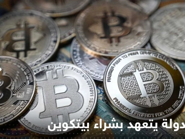 رئيس دولة يتعهد بشراء "عملة بيتكوين واحدة كل يوم"