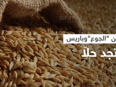 قلق الجوع يمتد من أوروبا إلى أستراليا.. وطريق بريّ قد يكون الحل