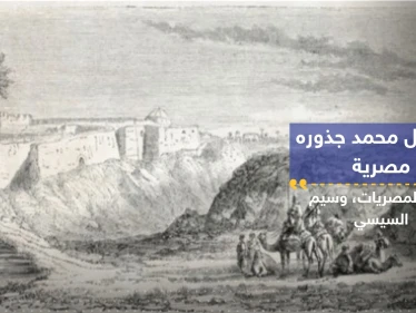 "الرسول محمد (ص) ليس من الجزيرة العربية"..عالم مصري يقدم "أدلة" مثيرة للجدل