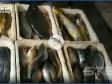 جولة مصورة داخل سوق الهال بمدينة الحسكة