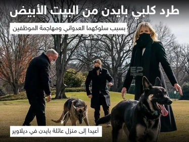 طرد كلبي الرئيس الأمريكي جو بايدن من البيت الأبيض ، بسبب سلوكهما العدواني ومهاجمة الموظفين
