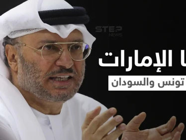أنور قرقاش يوضح نوايا الإمارات بشأن التطورات الأخيرة في تونس والسودان