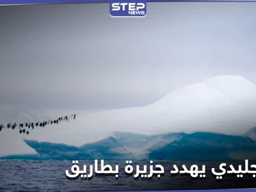 علماء يحذرون من نتائج اصطدام أكبر جبل جليدي في العالم بجزيرة بطاريق