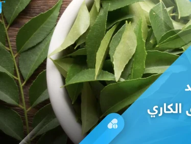 تحارب الأمراض المزمنة والخطيرة.. أوراق الكاري وفوائدها المذهلة إليك أهم المعلومات