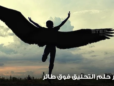 تفسير حلم التحليق فوق طائر بالمنام والطيران للعزباء والمتزوجة والمطلقة
