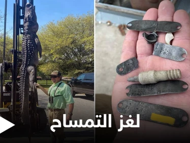 شاهد بالصور|| صيد تمساح عملاق يكشف لغز عمره 24 عاماً