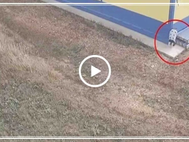 شاهد بالفيديو|| أم تضع رضيعها على أحد الأرصفة بعد لفه بكيس