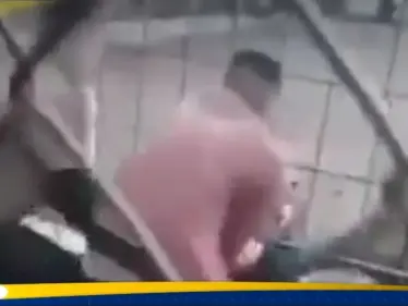 بالفيديو|| نمر يهاجم طفلاً ويسحبه من قدميه في حديقة ببغداد والسلطات تكشف مصيره - وكالة ستيب نيوز