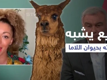 بالفيديو|| مذيع يثير الجدل بعد أن شبه ضيفته من أصول إفريقية ب حيوان اللاما.. شاهد ردة فعلها