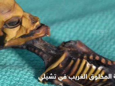 هل هو كائن فضائي ..الكشف عن حقيقة المخلوق الغريب الذي ظهر في تشيلي