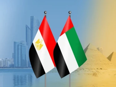 وزير الخارجية المصري يبحث مع نظيره الإماراتي ملفات سوريا و3 دول عربية أخرى.. وحافظ يكشف تفاصيل اللقاء
