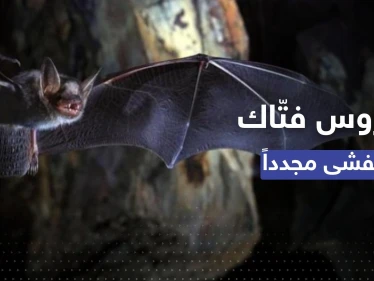 فيروس "فتّاك" يعود من جديد.. الصحة العالمية تؤكد: أول تفشٍ بغينيا الاستوائية