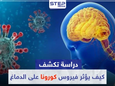 دراسة تكشف كيف يؤثر فيروس "كورونا" على الدماغ.. وهذه مخاطره